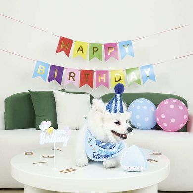 M-Pets (М-Петс) Party Time Dog Gentlemans set &ndash; Набор Джентльмен для празднования Дня рождения собаки, Разноцветный, 20х20х7 см