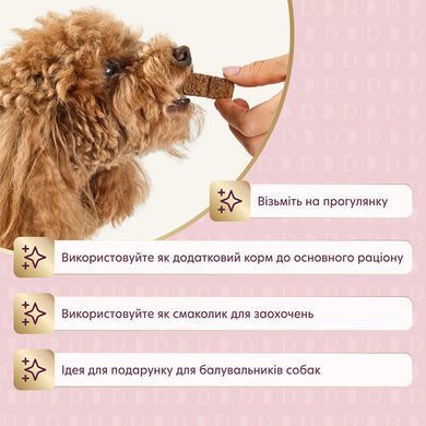 Delickcious (Деликшес) - Лакомство сушеные снеки с говядиной и тыквой для собак, 80 г