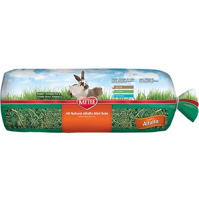 Kaytee (Кейті) Alfalfa Hay - сіно люцерна, корм для гризунів до 1 року, вагітних та годуючих кроликів 680 г
