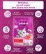 Whiskas (Вискас) - Сухой корм с говядиной для кошек, 14 кг