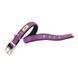 Ferplast (Ферпласт) Dual CF colours - Нашийник нейлоновий для собак 1,5х27-35 см Фіолетовий