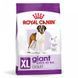Royal Canin (Роял Канин) Giant Adult - Сухой корм для взрослых собак больших размеров, 15 кг