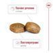 Royal Canin (Роял Канин) Giant Adult - Сухой корм для взрослых собак больших размеров, 15 кг