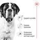 Royal Canin (Роял Канин) Giant Adult - Сухой корм для взрослых собак больших размеров, 15 кг