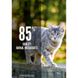 Orijen (Ориджен) Original Cat (Cat&Kitten) – Сухой корм с мясом птицы и рыбы для котят и кошек 17 кг