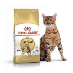 Royal Canin (Роял Канин) Bengal Adult - Сухой корм с птицей для кошек Бенгальской породы 10 кг