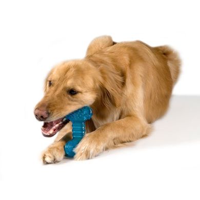 Petstages (Петстейджес) Orka Bone - Іграшка для собак "Кісточка з канатиком" 16 см