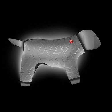 WAUDOG (Ваудог) Clothes - Дощовик для собак світловідбиваючий (сірий) XS22 (20-22 см)