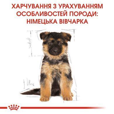 Royal Canin (Роял Канин) German Shepherd Puppy - Сухой корм для щенков Немецкой Овчарки, 3 кг