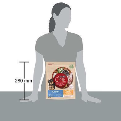 Purina ONE (Пуріна Ван) Mini Junior &ndash; Сухий корм з куркою та рисом для цуценят малих порід, 800 г