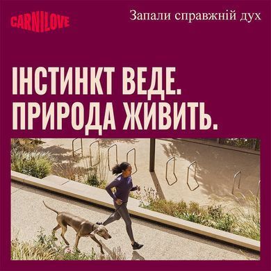 Carnilove (Карнілав) Crunchy Snack Wild Boar with Rosehips &ndash; Ласощі хрусткі зі смаком дикого кабана та шипшини для собак, 200 г