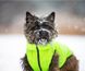 WAUDOG (Ваудог) AiryVest - Двусторонняя курточка для собак (салатовая/черная) M47 (44-47 см)