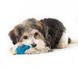 Petstages (Петстейджес) Orka Chew Pair – Набор игрушек для собак, мини косточка и гантель Комплект