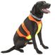 Coastal (Костал) for Hunting Dogs Chest Protector Remington - Нагрудная защита для охотничьих собак S Оранжевый