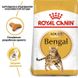 Royal Canin (Роял Канин) Bengal Adult - Сухой корм с птицей для кошек Бенгальской породы 10 кг