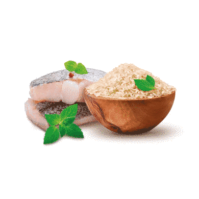 HOME FOOD (Хоум фуд) Гипоаллергенный сухой корм для взрослых собак MINI - Форель с рисом 1.6 кг