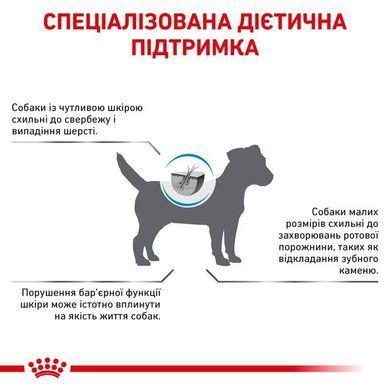 Royal Canin (Роял Канін) Skin Care Adult Small Dog - Ветеринарна дієта для дорослих собак дрібних порід при дерматозах, 2 кг
