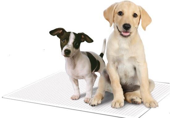 Simple Solution (Сімпл Солюшн) Training Premium Dog Pads - Пелюшки вологопоглинаючі гігієнічні преміум для собак 58х60 см, 50 шт