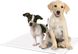 Simple Solution (Симпл Солюшн) Training Premium Dog Pads - Пелёнки влаговпитывающие гигиенические премиум для собак 58х60 см, 50 шт