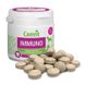 Canvit (Канвіт) Immuno - Вітамінна добавка для підвищення стійкості імунної системи 100 г (100 шт.)