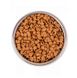 Monge (Монж) BWild Low Grain Goose Kitten - Сухой низкозерновой корм из мяса гуся для котят 1,5 кг
