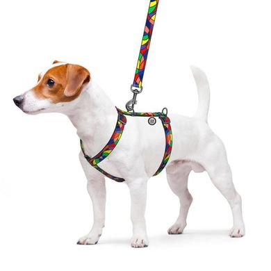 Collar (Коллар) WAUDOG Nylon - Анатомічна H-подібна шлея для собак з малюнком "Вітраж" і QR паспортом L/50-90х60-100 см