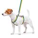 Collar (Коллар) WAUDOG Nylon - Анатомічна H-подібна шлея для собак з малюнком "Colors of freedom" і QR паспортом, розмір S (A:30-40 см, B:30-50 см), ширина 15 мм