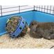 Savic (Савик) Bunny Toy - Колесо - кормушка для сена и лакомств для грызунов 19,5х18х12 см