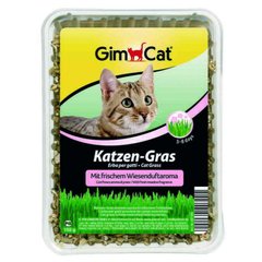GimСat (ДжимКэт) Katzen-Gras - Быстропрорастающая травка для кошек с луговым ароматом 150 г