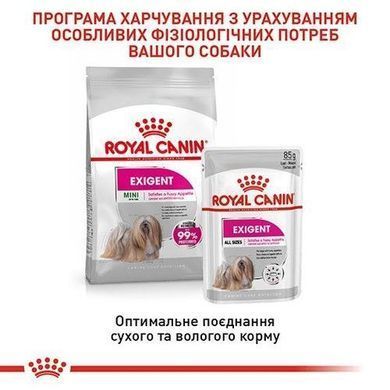 Royal Canin (Роял Канин) Mini Exigent - Сухой корм с мясом птицы для собак, привередливых к питанию, 3 кг