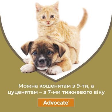 Advocate (Адвокат) by Bayer Animal - Противопаразитарные капли для собак от блох, вшей, клещей, гельминтов (1 пипетка) менее 4 кг
