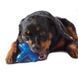 Petstages (Петстейджес) Orka Jake - Іграшка Орка Джек велика для собак, 10 см