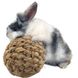 Trixie (Тріксі) Grass Ball with bell - Плетений м'яч із трави з дзвіночком для гризунів 6 см