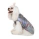 Pet Fashion (Пет Фешн) The Mood Fashion - Жилет для собак (серый) XS (23-26 см)