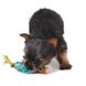 Petstages (Петстейджес) Orka Pine Cone Chew - Іграшка для собак "Орка Шишка з канатом" 10 см