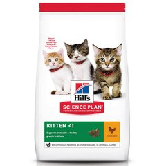 Hill's (Хиллс) Science Plan Kitten Chicken - Сухой корм с курицей для котят до 1 года 300 г