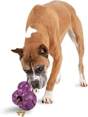 PetSafe (ПетСейф) Barnacle - Суперпрочная игрушка - лакомство для собак ХS