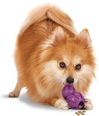 PetSafe (ПетСейф) Barnacle - Суперміцна іграшка - ласощі для собак ХS