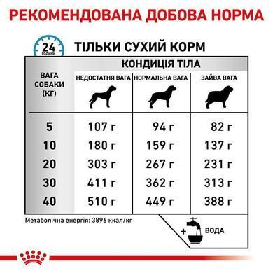 Royal Canin (Роял Канин) Skin Care Dog - Ветеринарная диета для собак при дерматозах и выпадение шерсти, 2 кг