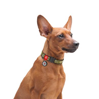 Collar (Коллар) WAUDOG Nylon - Нашийник для собак з малюнком "Мілітарі", QR паспортом і металевою пряжкою-фастекс, нейлоновий, розмір L (31-49 см), ширина 25 мм