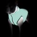WAUDOG (Ваудог) AiryVest Lumi - Двусторонняя светящаяся в темноте курточка для собак (салатовая/оранжевая) XS22 (20-22 см)