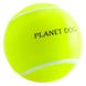 Planet Dog (Планет Дог) Tennis Ball – Игрушка суперпрочная теннисный мяч для собак 6 см