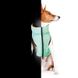 WAUDOG (Ваудог) AiryVest Lumi - Двостороння курточка, що світиться в темряві для собак (салатова/помаранчева) XS22 (20-22 см)