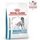 Royal Canin (Роял Канин) Skin Care Dog - Ветеринарная диета для собак при дерматозах и выпадение шерсти, 2 кг