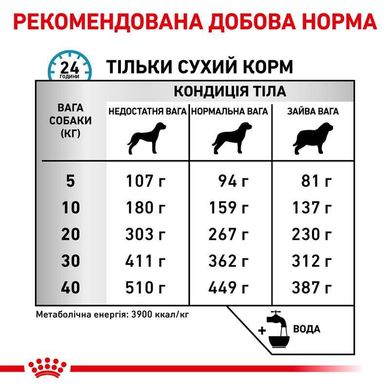 Royal Canin (Роял Канін) Skin Care - Ветеринарна дієта для собак при дерматозах і випаданні шерсті 2 кг