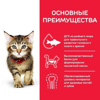 Hill's (Хиллс) Science Plan Kitten Chicken - Сухой корм с курицей для котят до 1 года, 7 кг