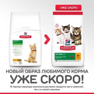 Hill's (Хиллс) Science Plan Kitten Chicken - Сухой корм с курицей для котят до 1 года, 7 кг