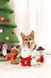 M-Pets (М-Петс) Christmas Dog Toy Holly - Іграшка з пищалкою Сніговик для собак, 20х10х7 см