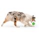 West Paw (Вест Пау) Rando - Игрушка большой мяч для собак 6 см Оранжевый