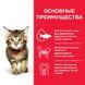 Hill's (Хиллс) Science Plan Kitten Chicken - Сухой корм с курицей для котят до 1 года, 7 кг